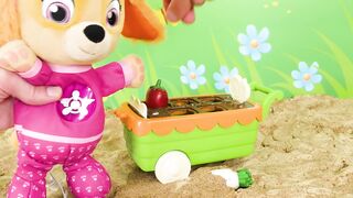 Best Toy Learning Video for Kids - Paw Patrol Snuggle Pup Picnic!