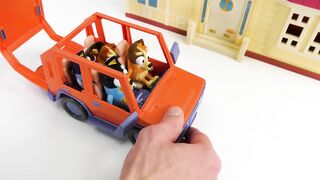 Bluey Toy Learning Video for Kids!