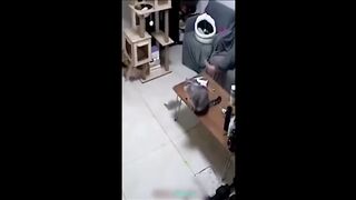 Funny cat and dog videos!2023