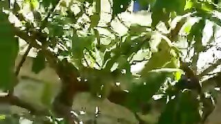 Berkebun 2