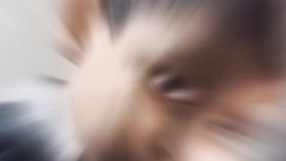 Cool video 2