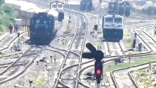 Train or Snake- Funny memes