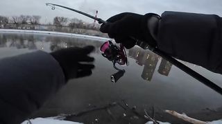 Календарная зима заканчивается, а судак на спиннинг не перестает нас удивлять ????