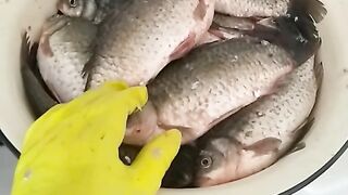 more fish  #fishing