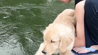Xiao Bai's fear is also temporary. Dad hugged and jumped once, and then he jumped on his own, which made me excited