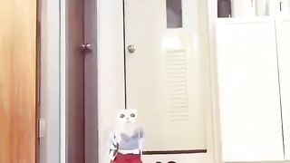 Cat dressing