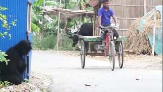 Funny entertainment videos, please do not take them seriously 2