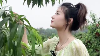 the huagntao is good