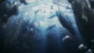 AMV|shingeki no sasageyo