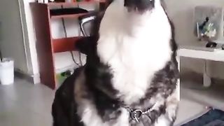 Is my singing beautiful?