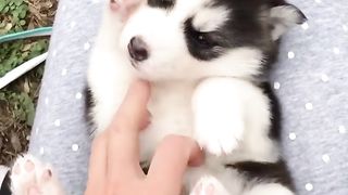 Don't touch me. I'm shy