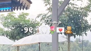 May Dump