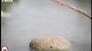 video 91
