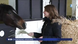 l'homme qui chuchotait à l'oreille des chevaux