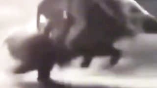 Funny video