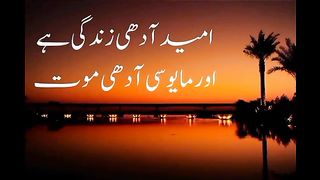aqwale zarren|golden words| rules of life