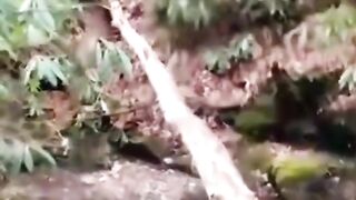 Compilation de chute....Part 2