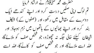 میری جَانب بھی ہو اِک نگاہِ کرم، اے شفیع الواریٰﷺ، خاتم الانبیاءﷺ