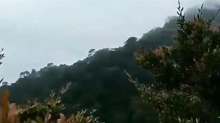 Nature song