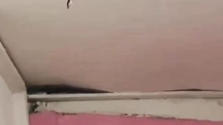 #snake #viral #crazy