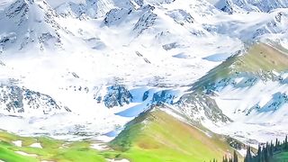 Birds and nature..#bird #nature #quran #relaxing #viralvideos