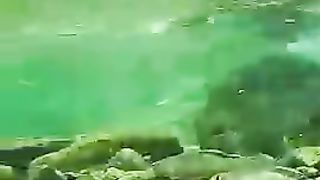 Inside indus river
