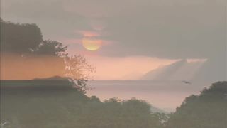 Brésil _ l'île aux 2 500 serpents