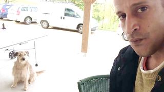 IL IMITE LE CHIEN QUI PLEURE - (réactions des chiens)