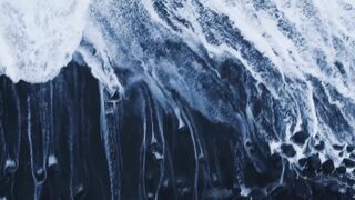 Dengerous Ocean creature