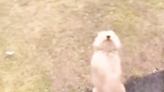 Funny video
