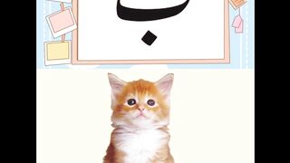 Cartoon short video 9