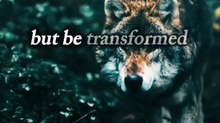 Motivationalquotes