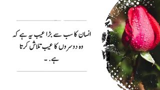 Best urdu Quotes #urduquotes 5