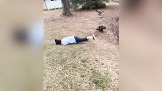 video drole d'animal