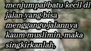 Nasehat habib Umar (part2)