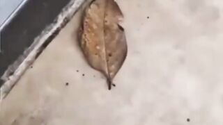 Nature is the best designer ❤️ 2