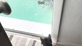 Daily sharing by cats 6