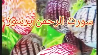 Surah Rahman Tilawat 2