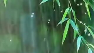 ہمارے بچوں کی تربیت
