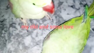 Raw in love