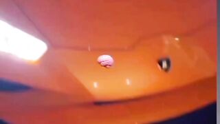 ???????????????????????????????????? 4