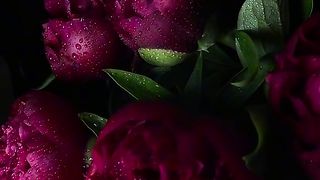 Flowers 13