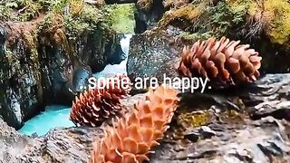 Motivation day 2