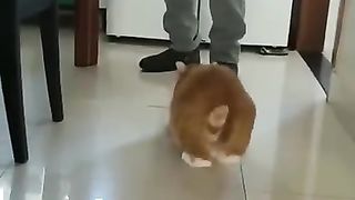 I am Playing...nood...