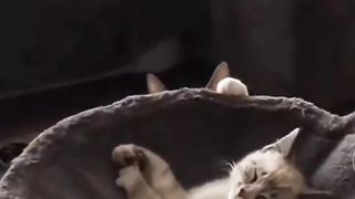 Relaxing...