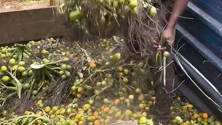 You will be shocked to see gutkha being made