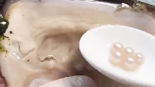 Pearl Harvesting....