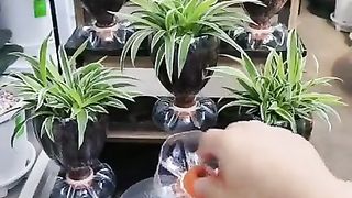 Fantastic Idea
