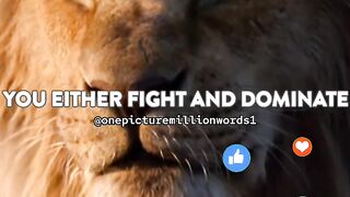 onepicturemillionwords Quotes | #ytshorts #inspiration #motivation #viral #attitude #SigmaRule