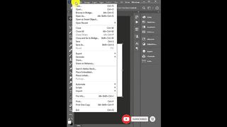 How to make Qucik action  Passoport size picture